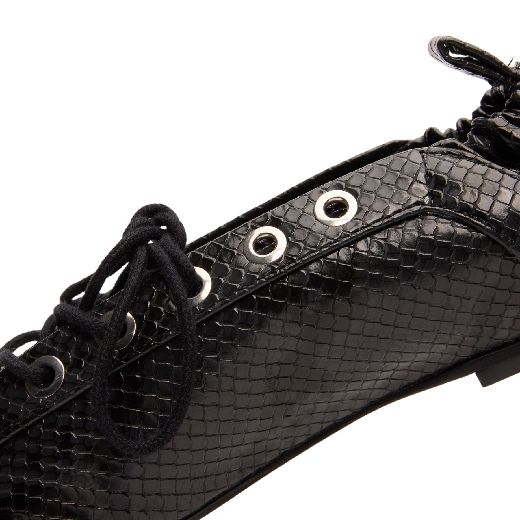ganni-eyelets-lace-up-ballerina-snake-black-oyster  Footwear