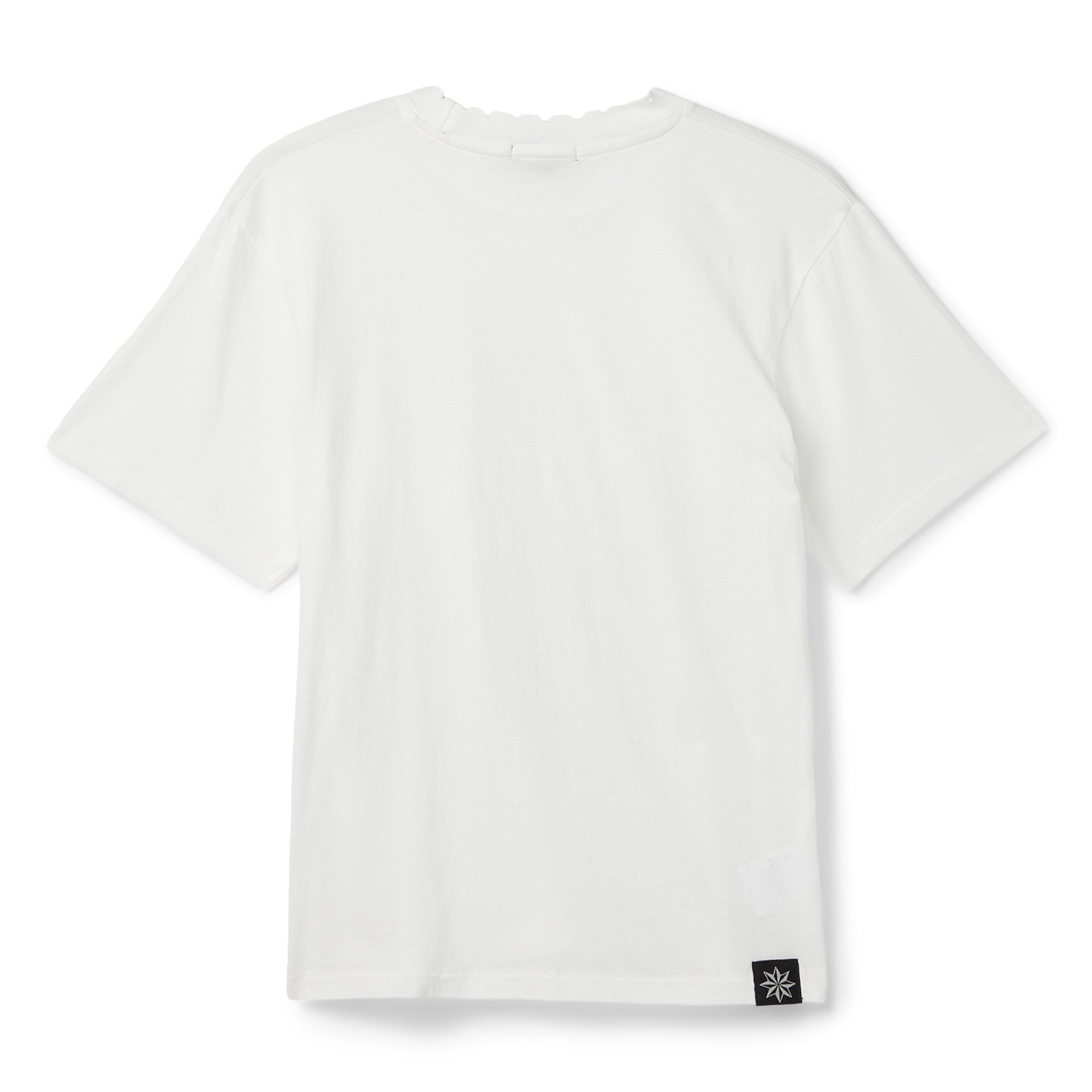 Beach Brains Tide Tee (Crisp White)T-shirt Top