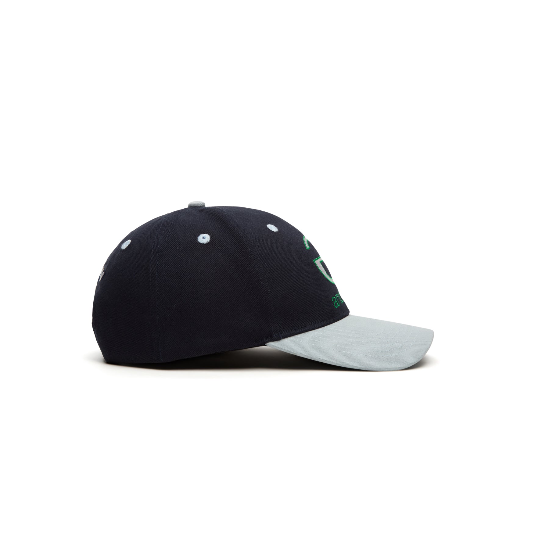 Andrew Lowercase 6 Panel Dad Hats (Blue)