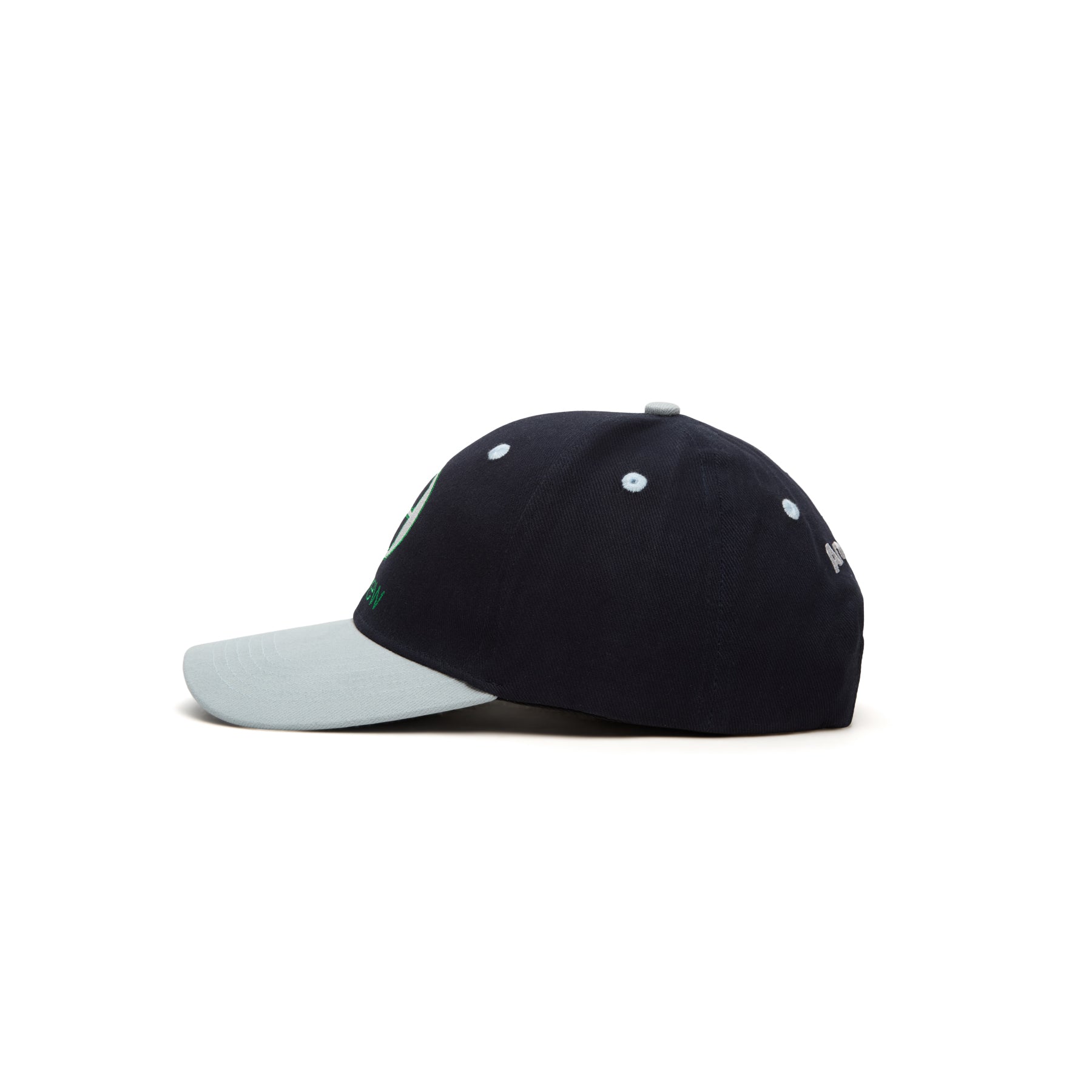 Andrew Lowercase 6 Panel Dad Hats (Blue)