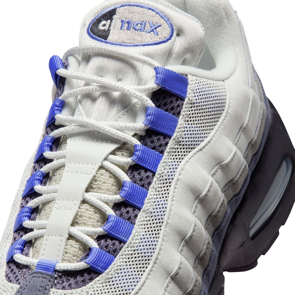 nike-nike-air-max-95-og-photon-dust-sapphire-dark-raisin  Footwear