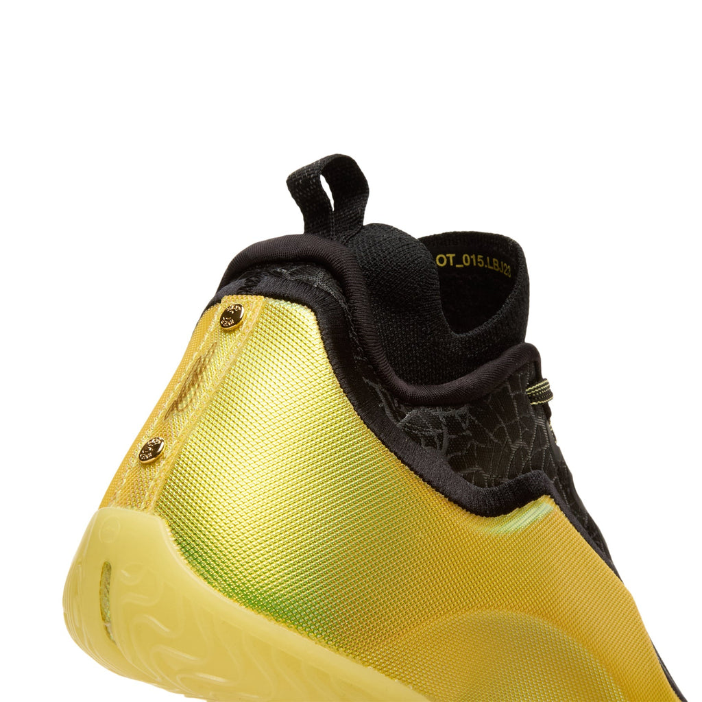 nike-lebron-xxiii-elite-good-intentions-black-soft-yellow-stadium-green  Footwear