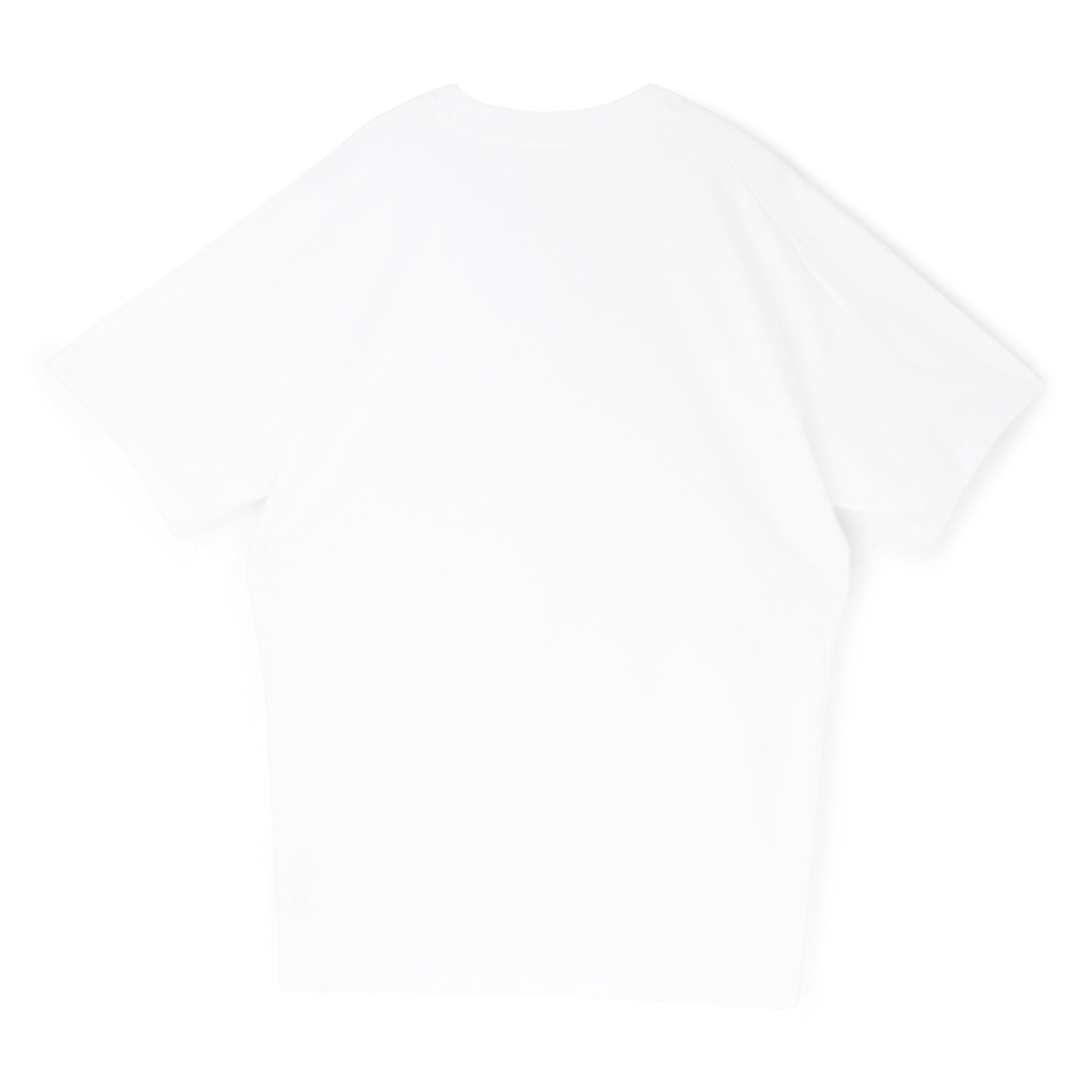 Arc'teryx Kragg SL Cotton SS M (White Light) T-shirt Top