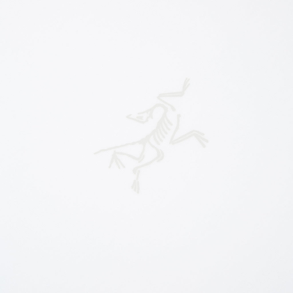 Arc'teryx Kragg SL Cotton SS M (White Light) T-shirt Top