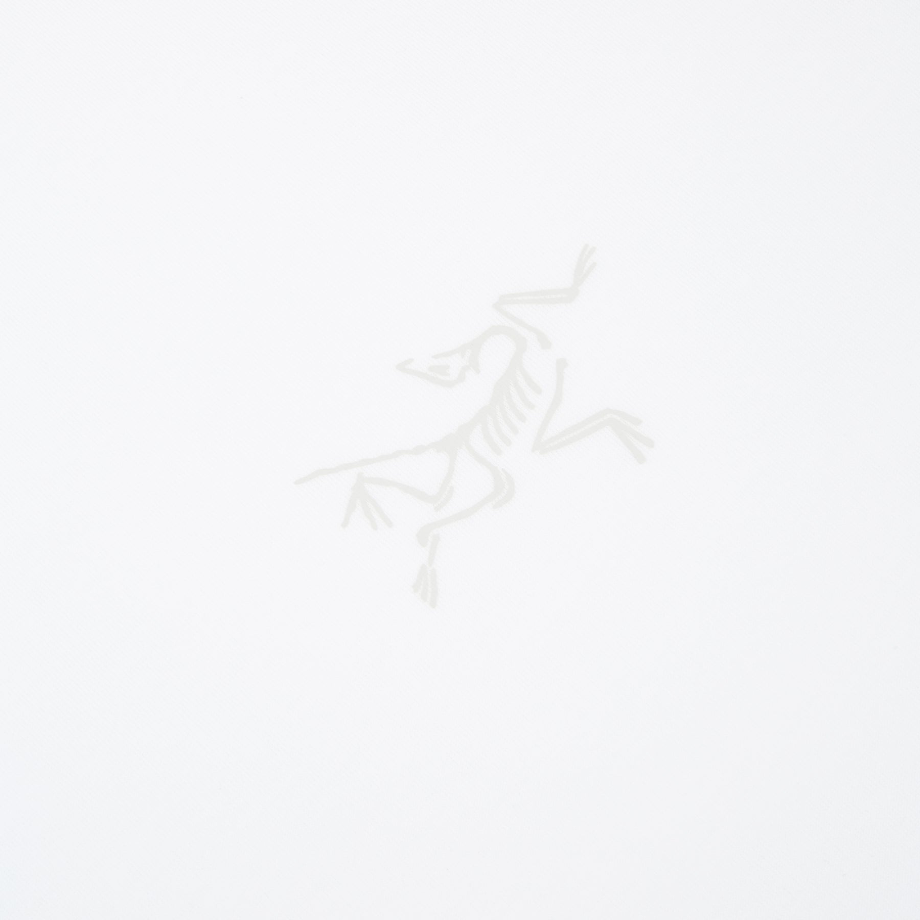 Arc'teryx Kragg SL Cotton SS M (White Light) T-shirt Top