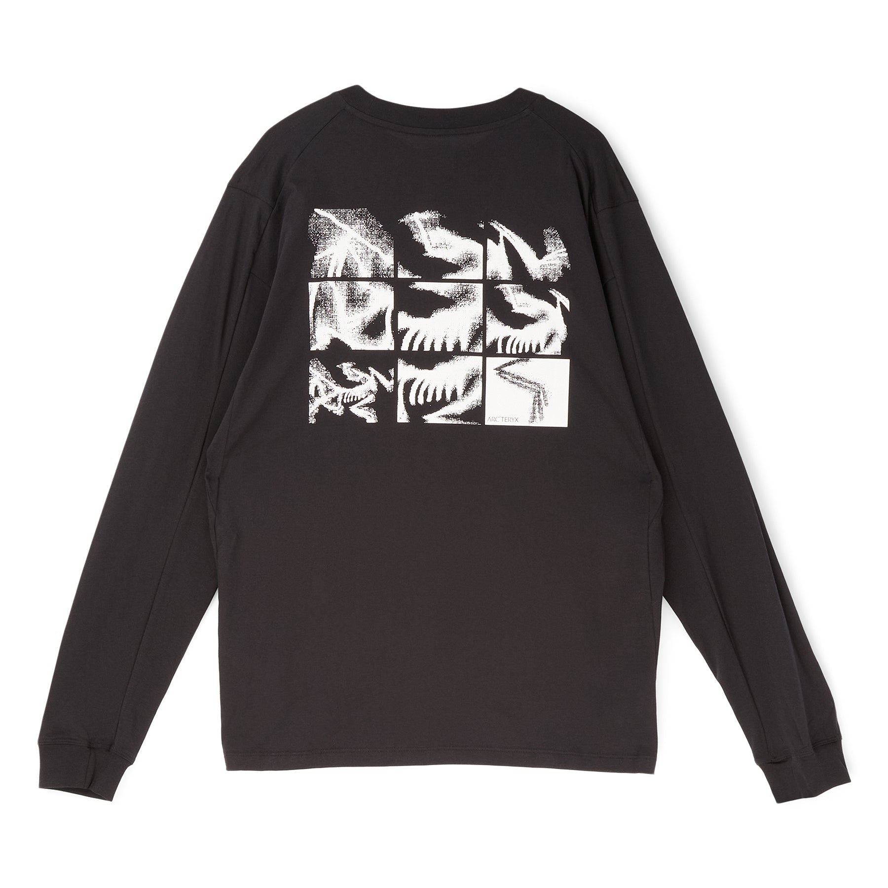 Arc'teryx Kragg SL Cotton Bird Tile LS M (Black / Arctic Silk) Top