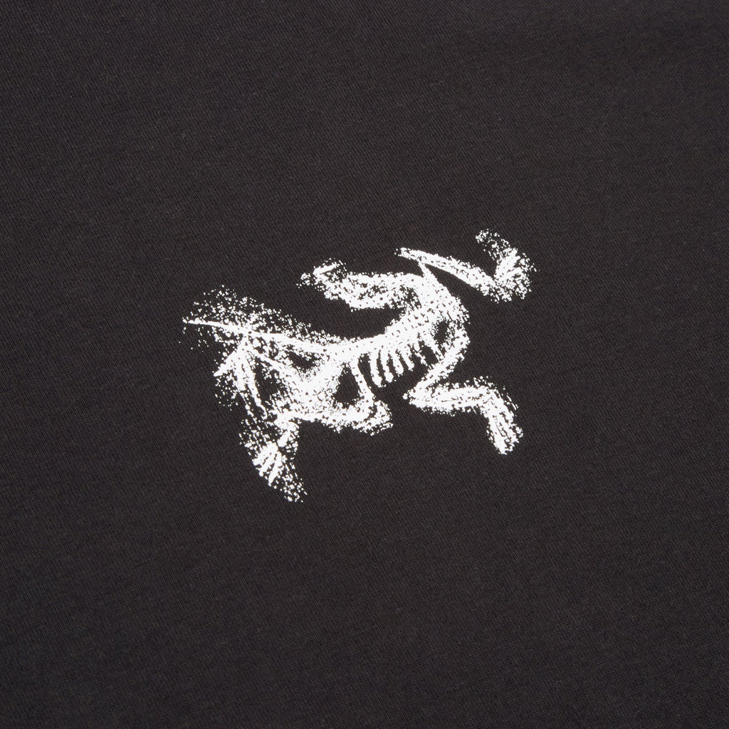 Arc'teryx Kragg SL Cotton Bird Tile LS M (Black / Arctic Silk) Top