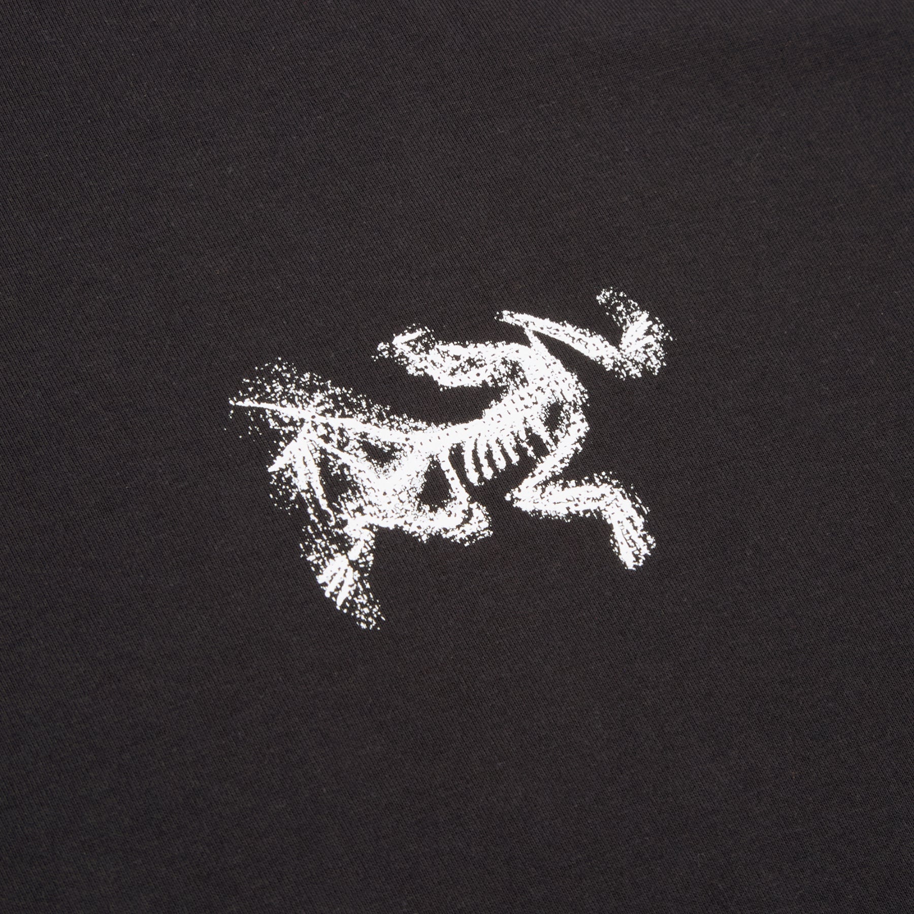 Arc'teryx Kragg SL Cotton Bird Tile LS M (Black / Arctic Silk) Top