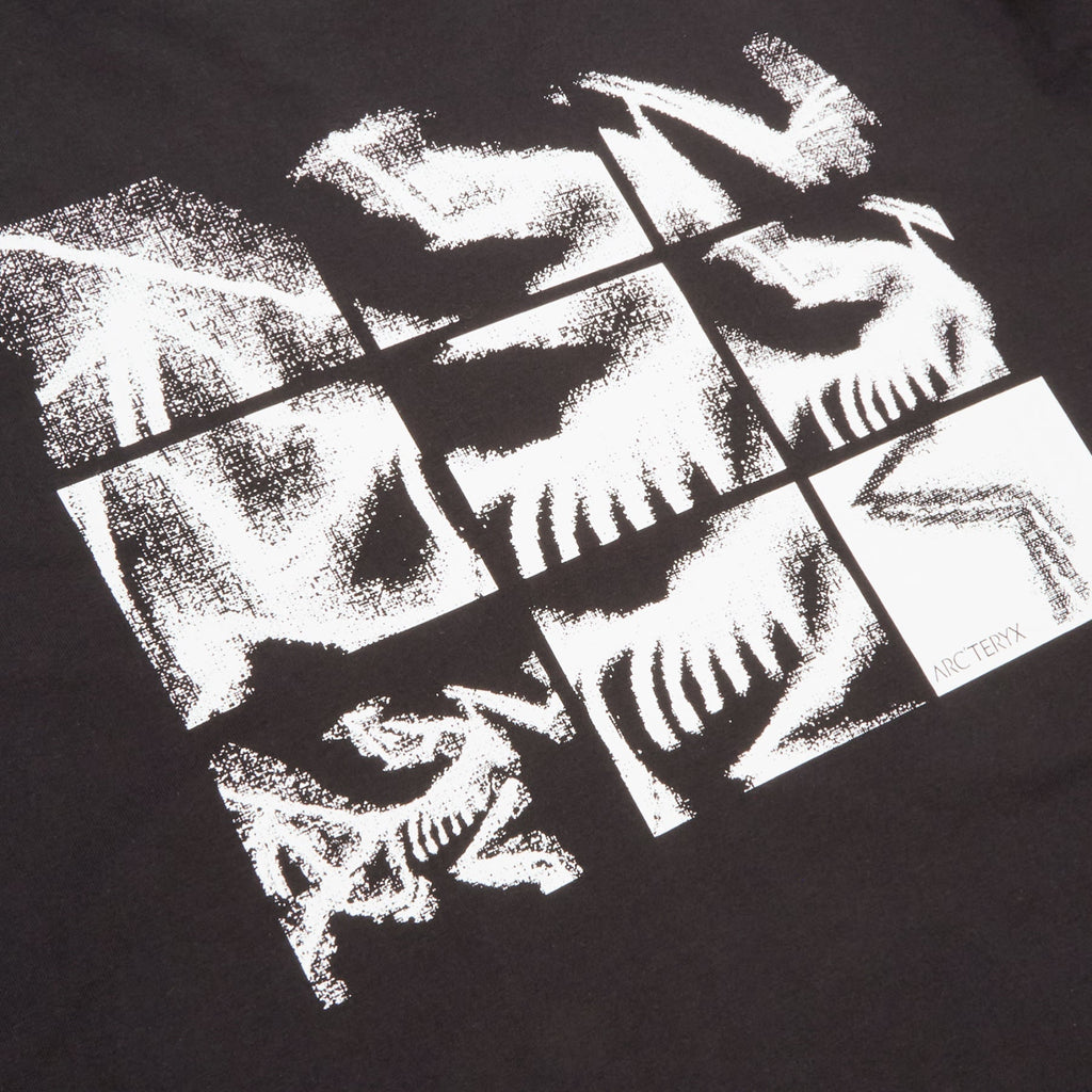 Arc'teryx Kragg SL Cotton Bird Tile LS M (Black / Arctic Silk) Top