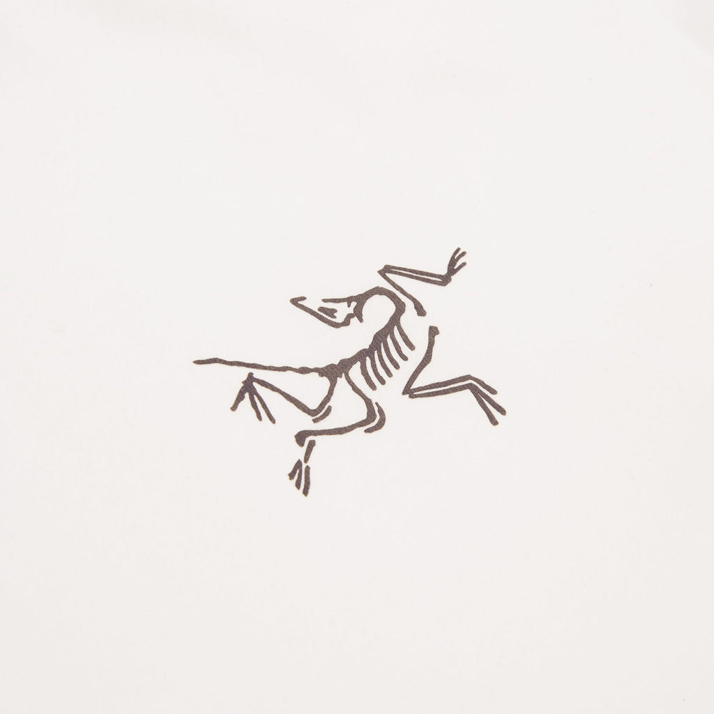 Arc'teryx Kragg Cotton LS M (White Light / Black) Top