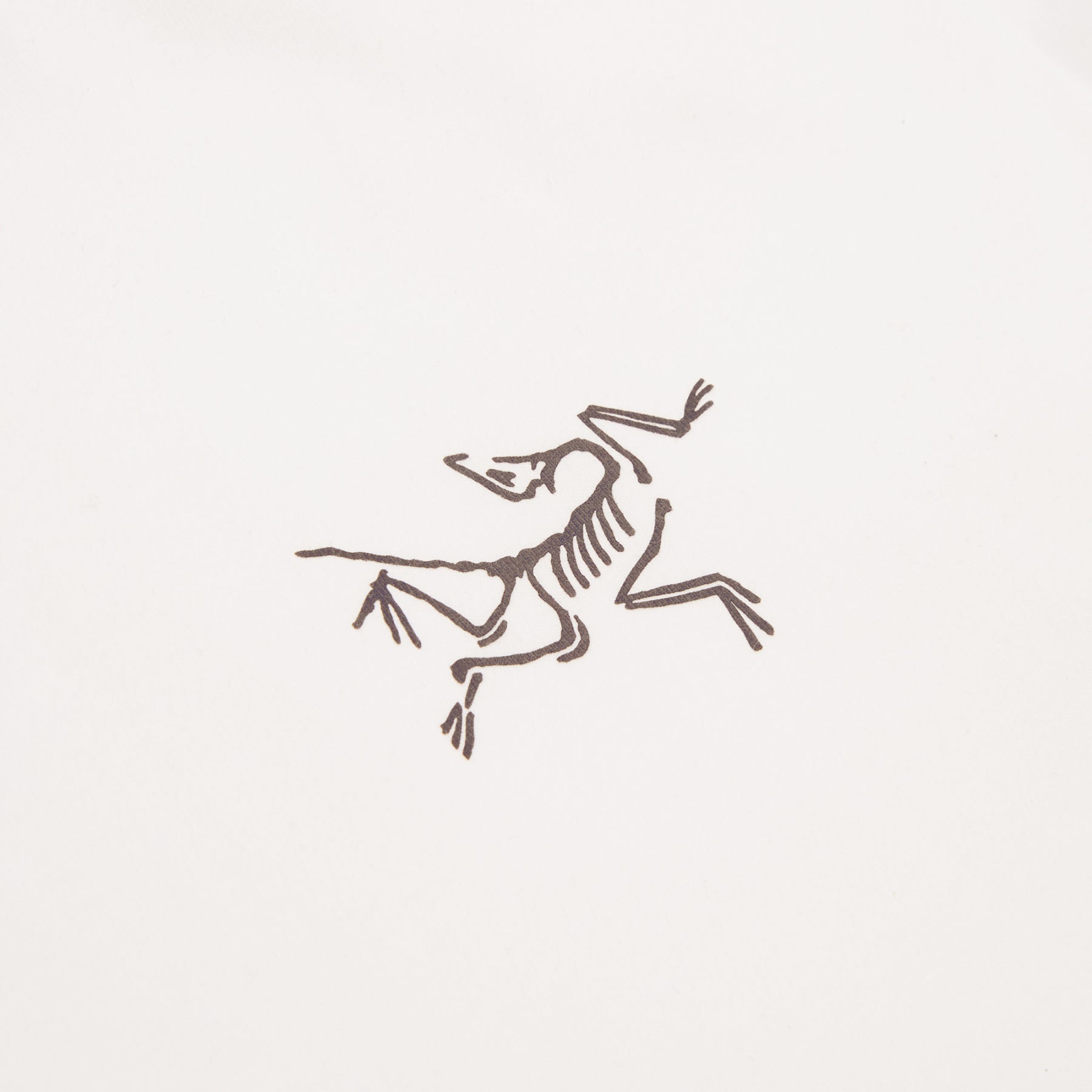 Arc'teryx Kragg Cotton LS M (White Light / Black) Top