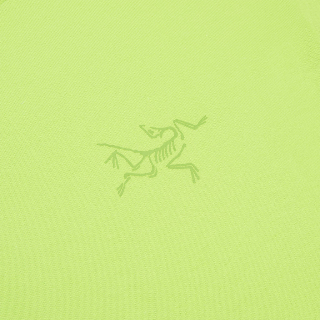 Arc'teryx Kragg Cotton LS M (Mantis)Top