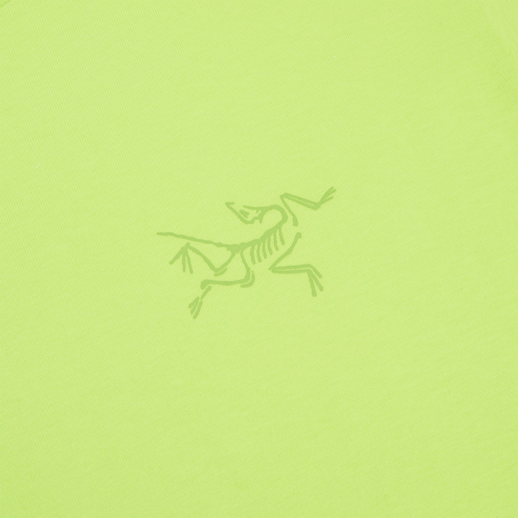Arc'teryx Kragg Cotton LS M (Mantis)Top