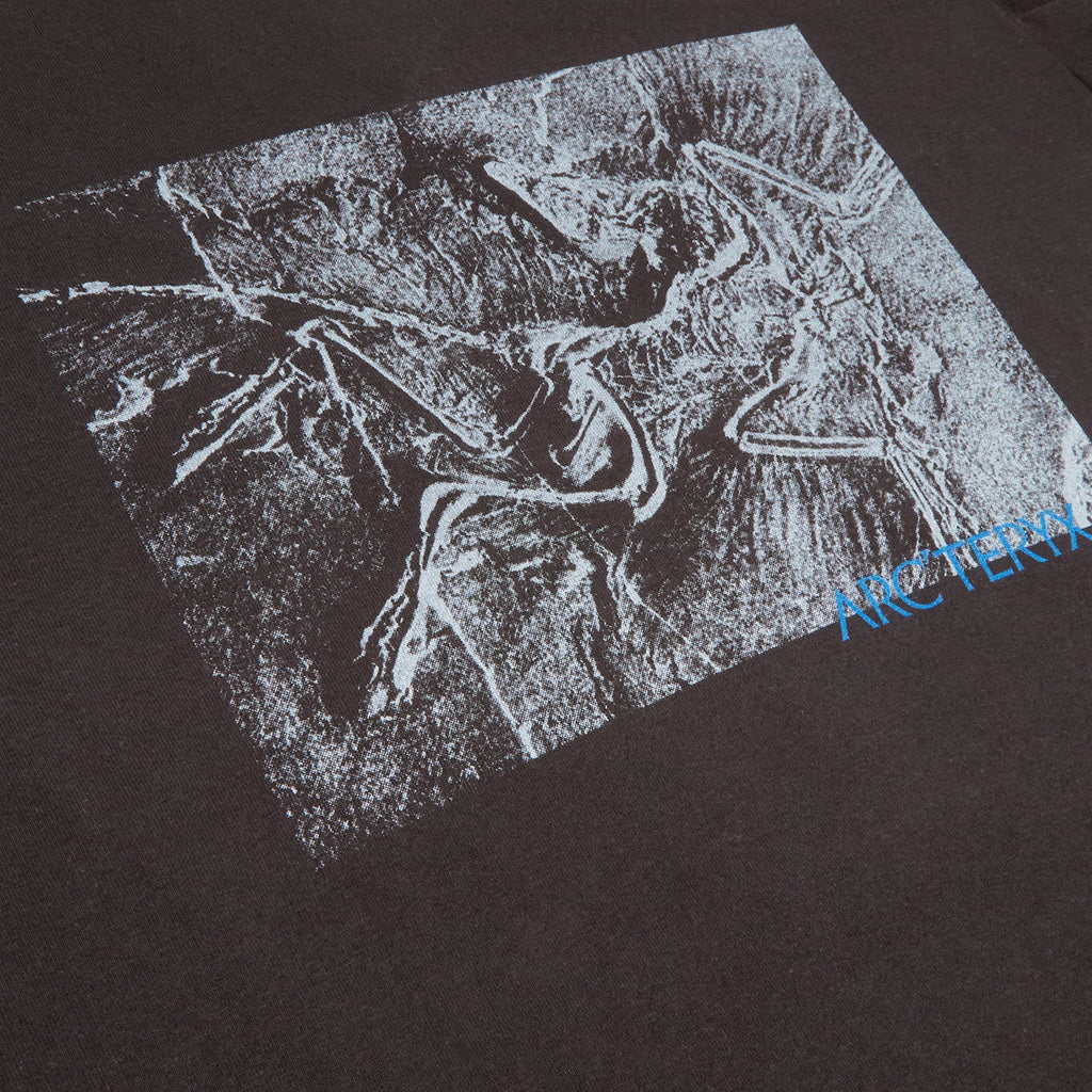 Arc'teryx Kragg Cotton Lithographica SS M (Black) T-shirt Top