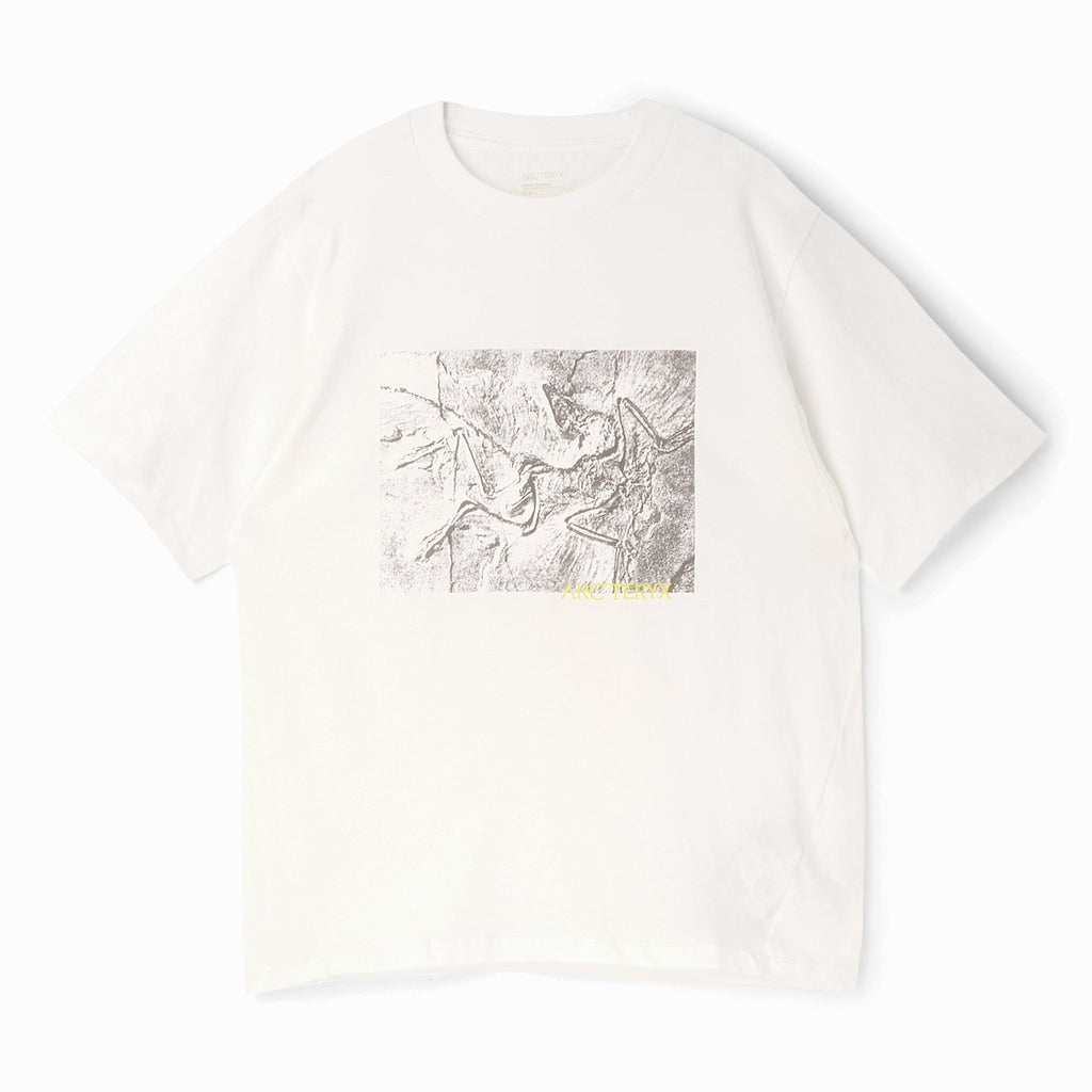 Arc'teryx Kragg Cotton Lithographica SS M (White Light) T-shirt Top