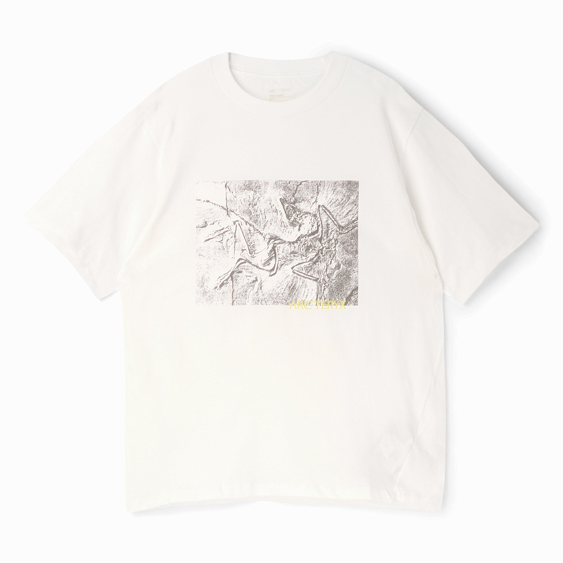 Arc'teryx Kragg Cotton Lithographica SS M (White Light) T-shirt Top