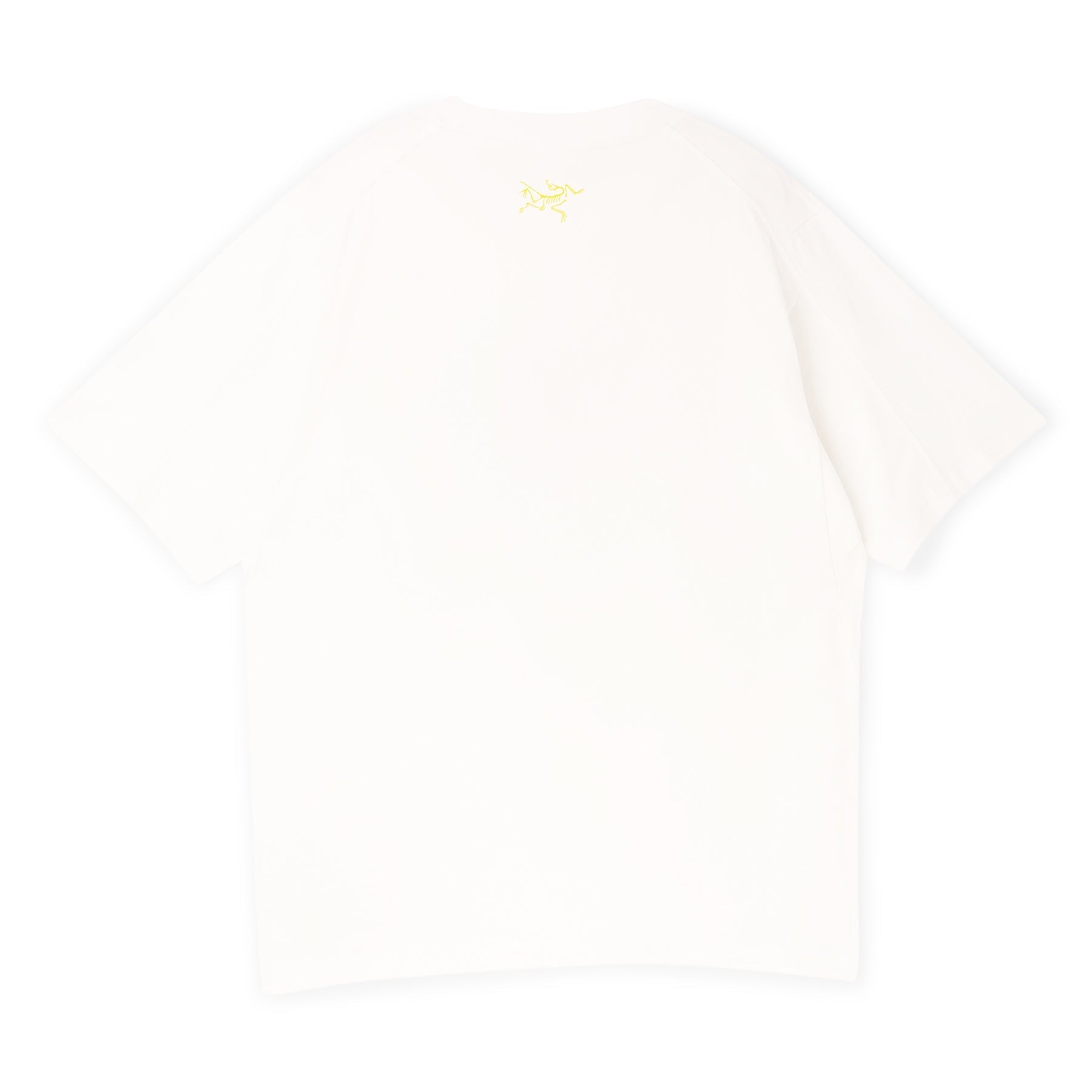 Arc'teryx Kragg Cotton Lithographica SS M (White Light) T-shirt Top