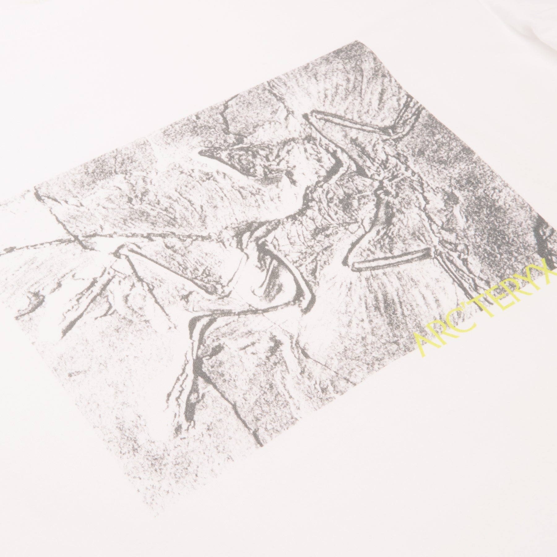 Arc'teryx Kragg Cotton Lithographica SS M (White Light) T-shirt Top