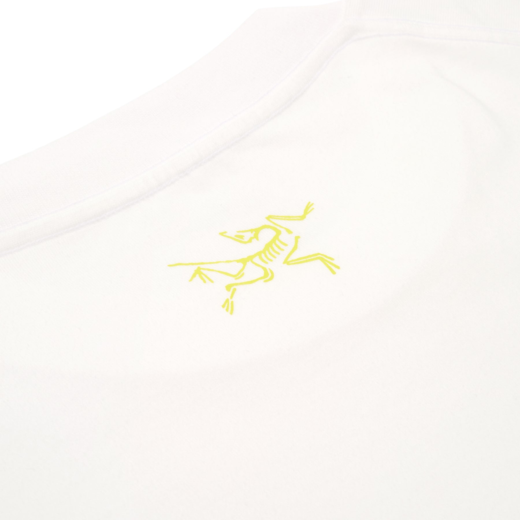 Arc'teryx Kragg Cotton Lithographica SS M (White Light) T-shirt Top